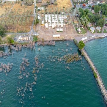 Olive Resort on the Sea of ​​Galilee - Olive chain 3