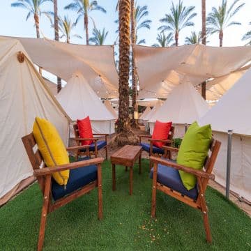Olive Resort on the Sea of ​​Galilee - Olive chain 4