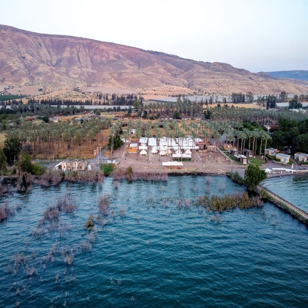 Olive Resort on the Sea of Galilee - Olive chain